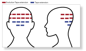 5-extension-adesive-guida-alla-scelta-2