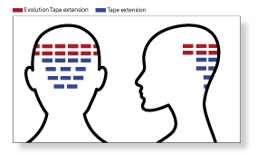 5-extension-adesive-guida-alla-scelta-3