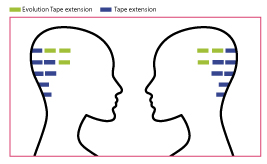 5-extension-adesive-guida-alla-scelta-5