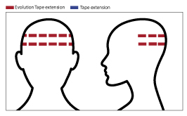 5-extension-adesive-guida-alla-scelta-6