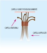 7-cura_e_mantenim_extension